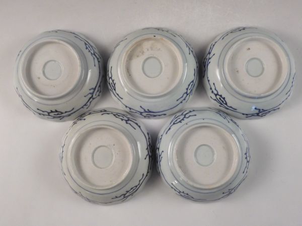 ○栄○古伊万里染付福寿蛸唐草文皿5客15cm 無傷完品江戸期41kw251