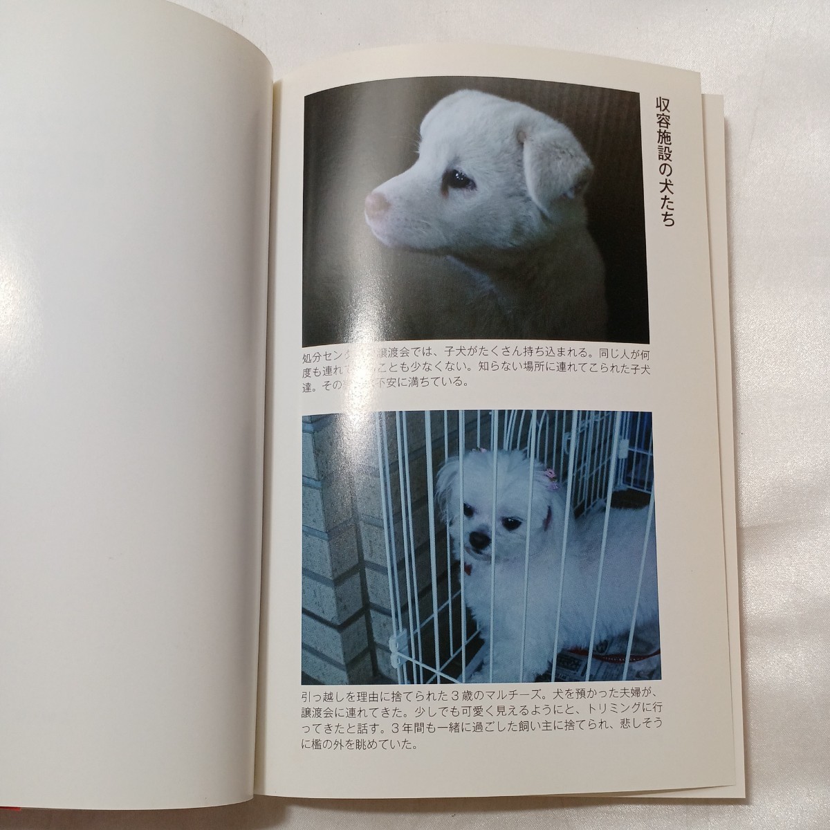 zaa-495! pet large country japanese responsibility!-.. ........... wistaria ...[ work ] Nagasaki publish (2010/10 sale )
