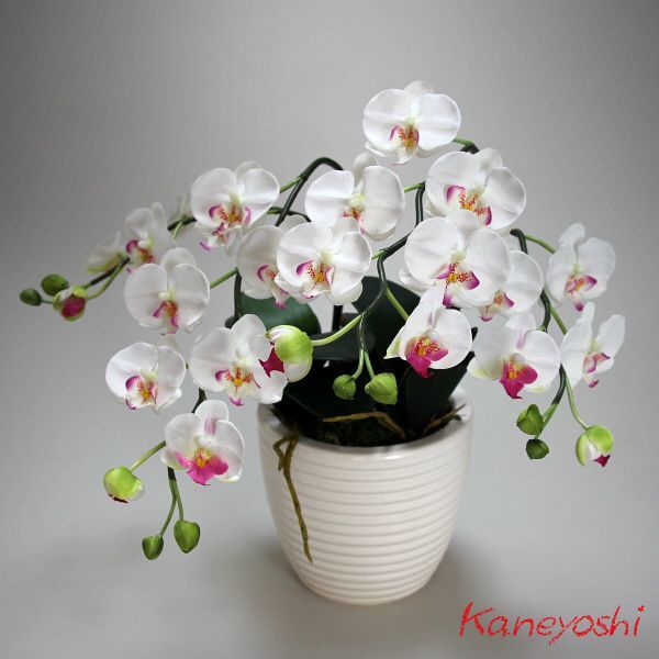  photocatalyst . butterfly orchid artificial flower interior small wheel 2 ps . white A white color . festival gift souvenir birthday presentation new building opening flower fake green air cleaning 