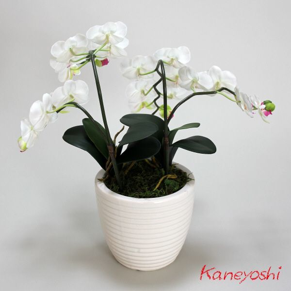  photocatalyst . butterfly orchid artificial flower interior small wheel 2 ps . white A white color . festival gift souvenir birthday presentation new building opening flower fake green air cleaning 