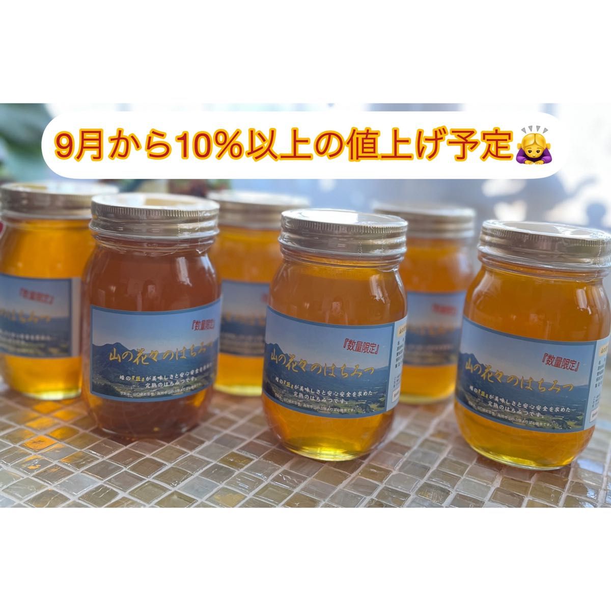 つかもと養蜂場 山の花々のはちみつ (600g)6本セット 花蜜 国産蜂蜜