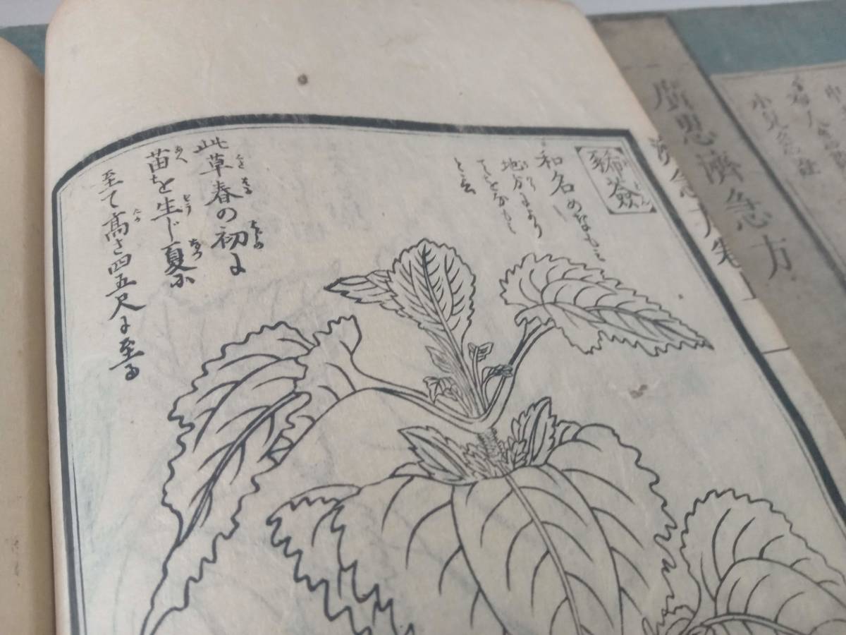 送料込み、1790年,江戸時代の家庭の医学の和本「広恵済急方」全3巻、1巻少し糸ほつれ。多紀元簡。挿絵数十有。 - 和書 送料込み、1790年,江戸時代の家庭の医学の和本「広恵済急方」全3巻、1巻少し糸ほつれ。多紀元簡。挿絵数十有。 - 和書