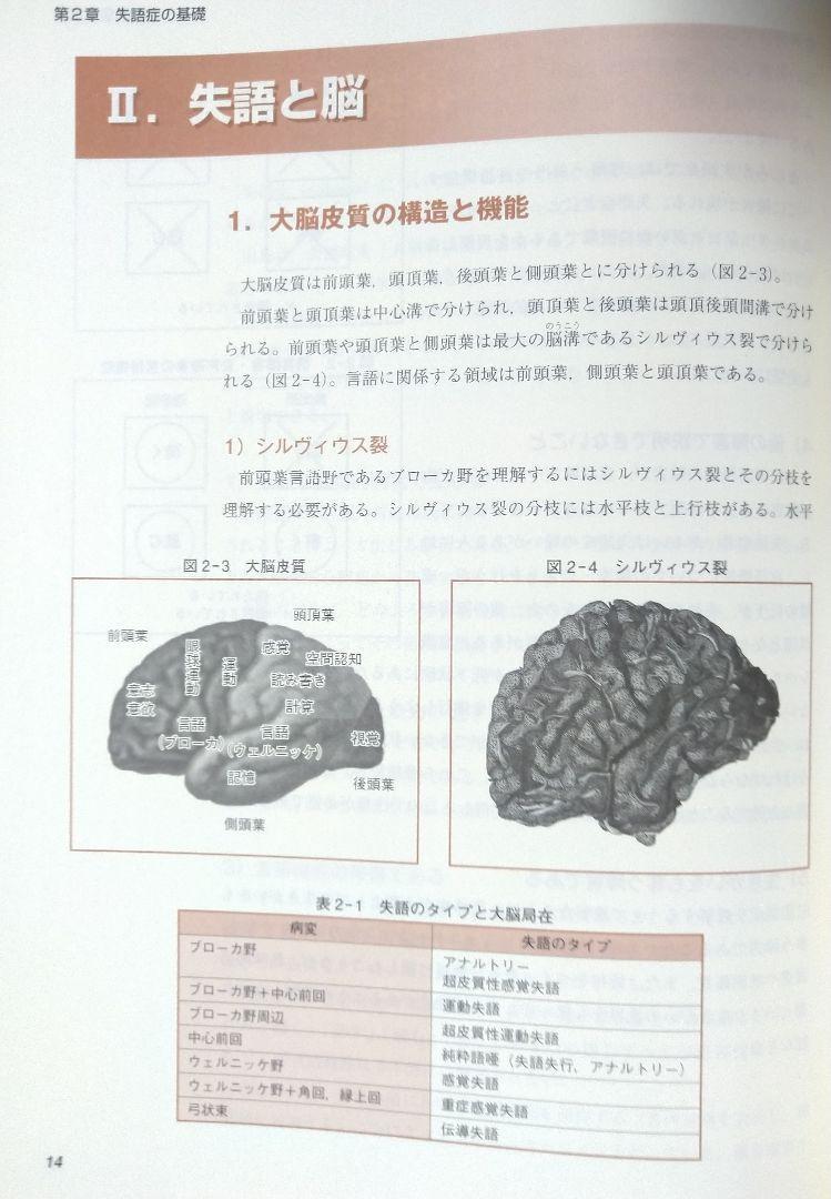 改訂 失語症 言語聴覚療法シリーズ4（本 テキスト リハビリ 理学療法 OT 作業療法 PT 教科書 言語聴覚士 ST 国家試験 機能障害）_画像8