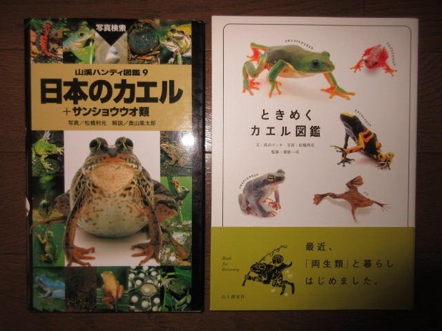 2冊　山渓ハンディ図鑑9　日本のカエル＋サンショウウオ ときめくカエル図鑑　山と渓谷社 カバー補強のためテープ補修あり_画像5