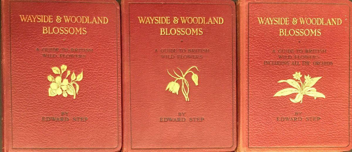 3冊セット『Wayside and woodland blossoms 道端と森林の花 シリーズ1~3』の画像1