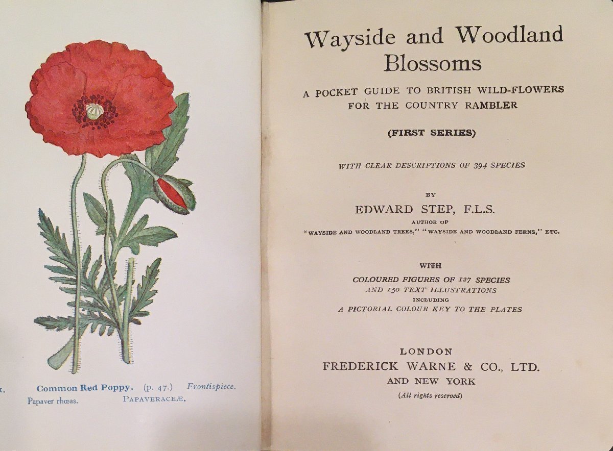 3冊セット『Wayside and woodland blossoms 道端と森林の花 シリーズ1~3』_画像2