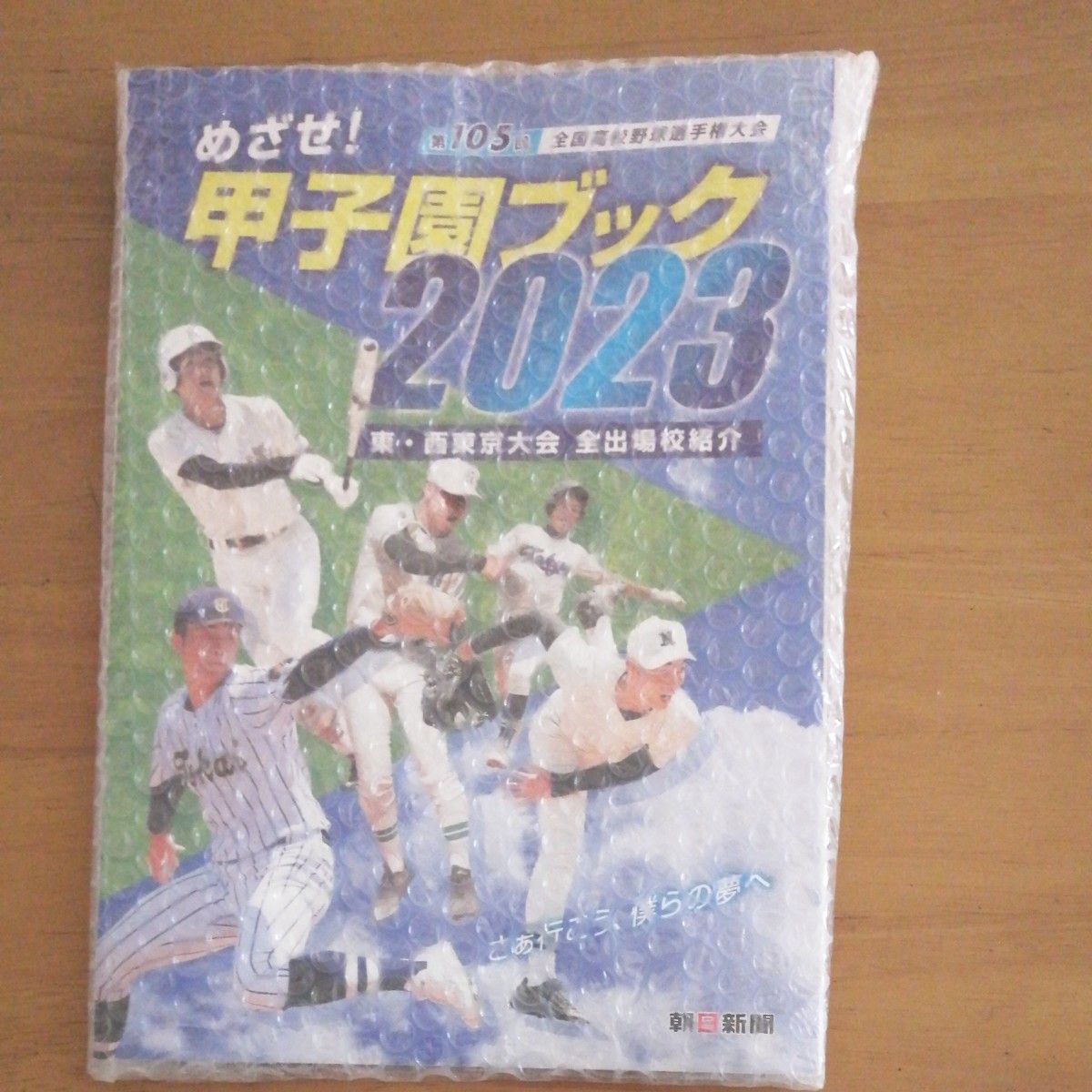 めざせ!甲子園ブック2023 朝日新聞