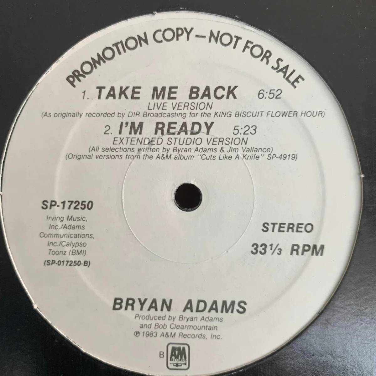 美盤!!◆ Bryan Adams - This Time ◆12inch US盤promo ベストヒットUSA系_画像2