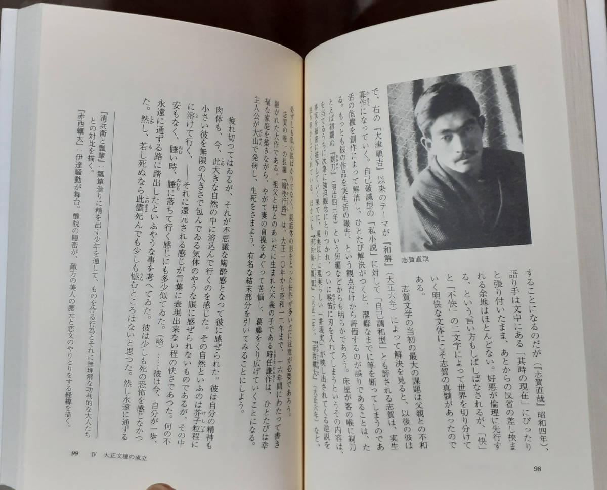 日本近代小説史　安藤宏：著　中公選書　中央公論新社_画像8