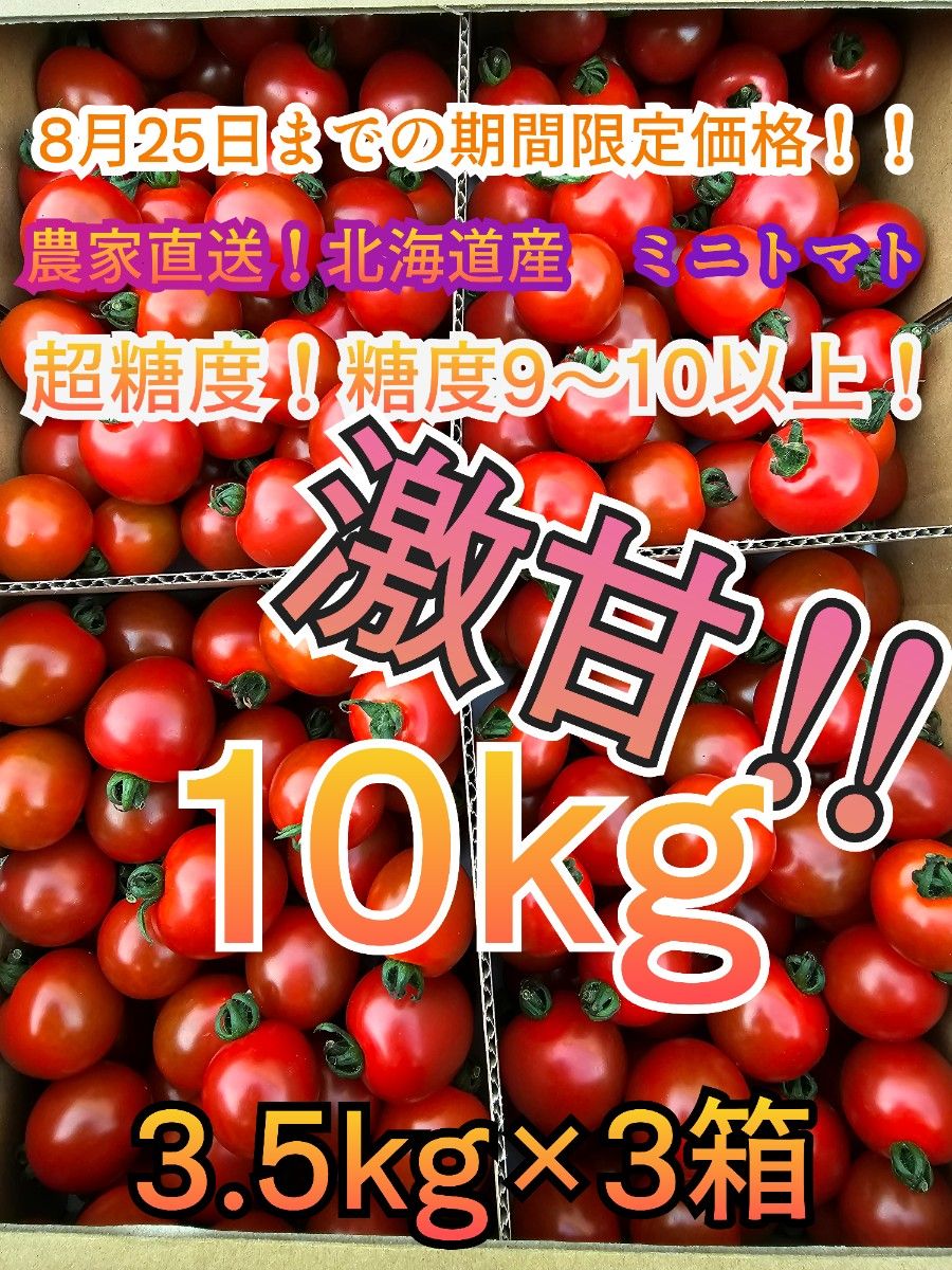 ミニトマト 10kg キャロル10 【糖度9以上】北海道産 農家直送-