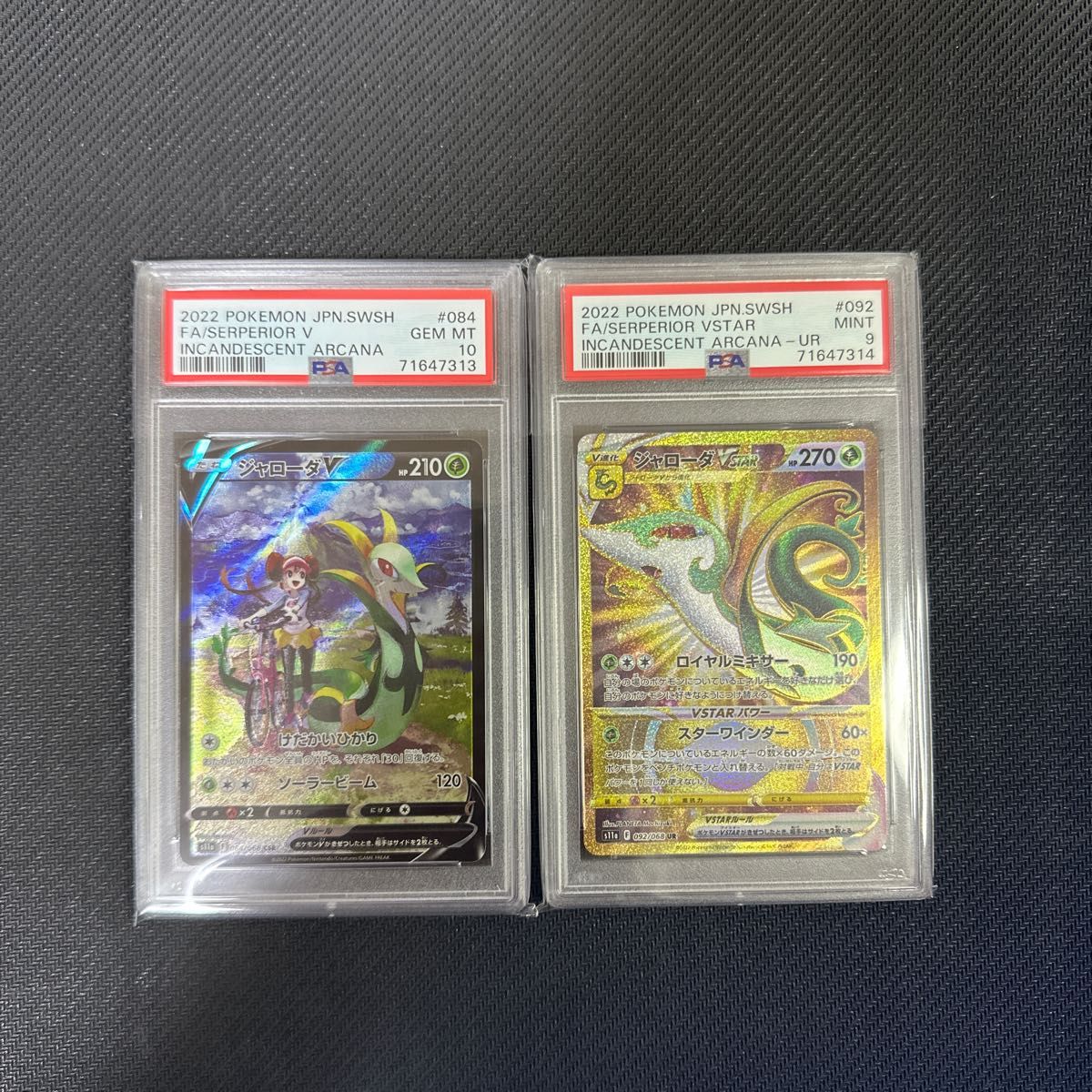 ジャローダV CSR 最高評価 PSA10 ジャローダV STAR UR PSA9 メイ