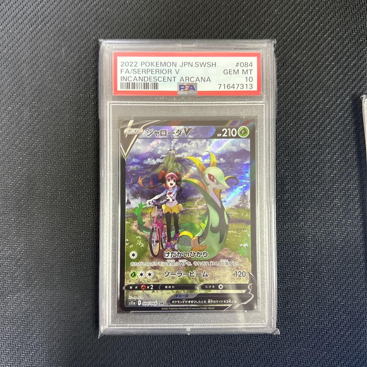 ジャローダV CSR 最高評価 PSA10 ジャローダV STAR UR PSA9 メイ