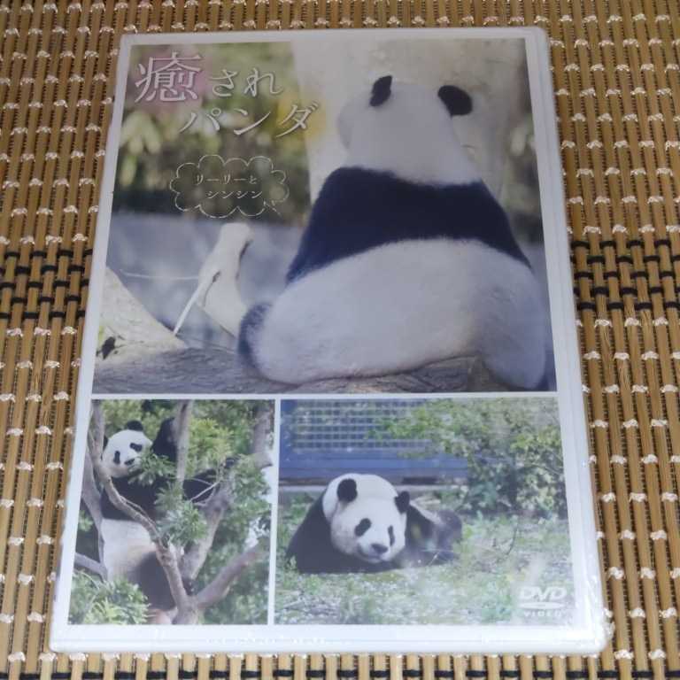 Rm215 新品DVD　癒されパンダ リーリーとシンシン上野動物園のアイドル　ぱんだ_画像1