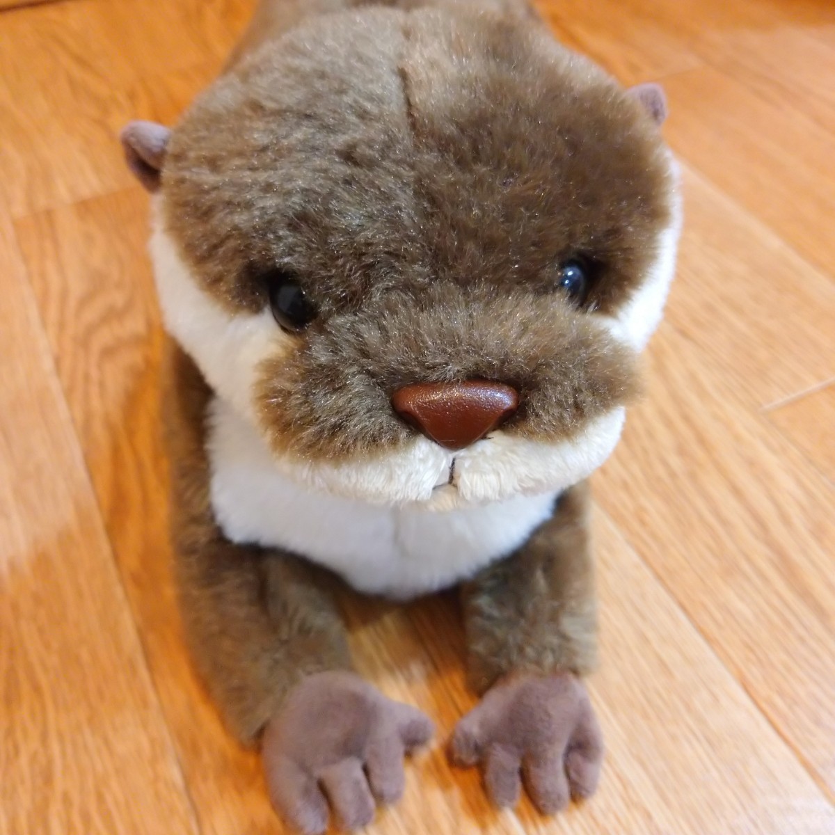 50cm カワウソ ぬいぐるみ sunlemon サンレモン Otter stuffedtoy toy japan グッズ リアル マスコット 置物 飾り ペット コレクション _画像1