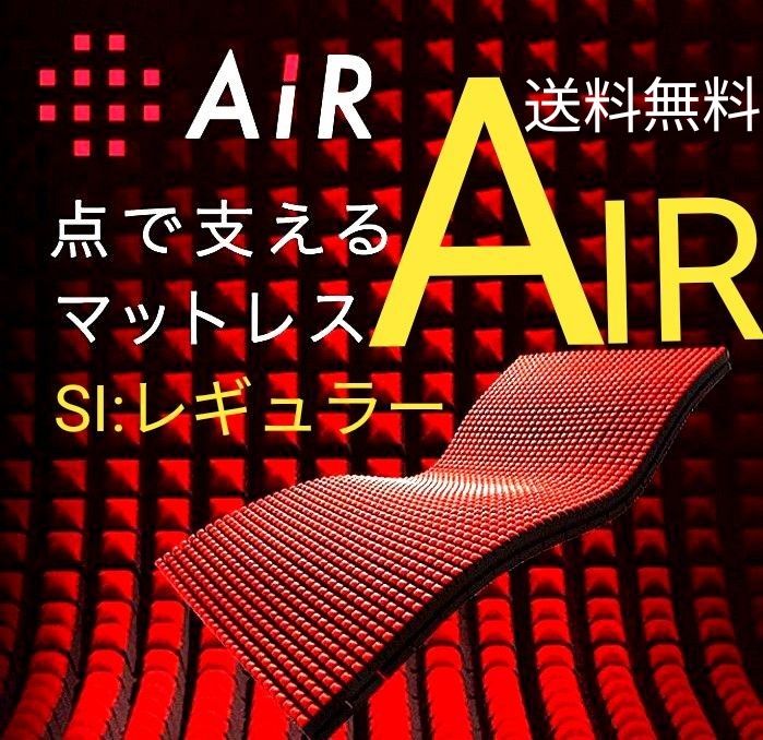 展示品 先着１名様 東京西川AIRエアーＳＩ レギュラー レガリア