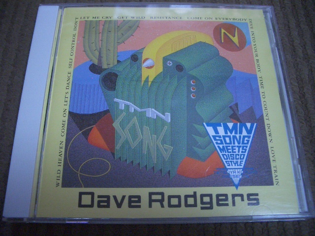 ☆即決有CD デイヴ ロジャース Dave Rodgers TMN SONG MEETS DISCO STYLE ディスコ 小室哲哉☆