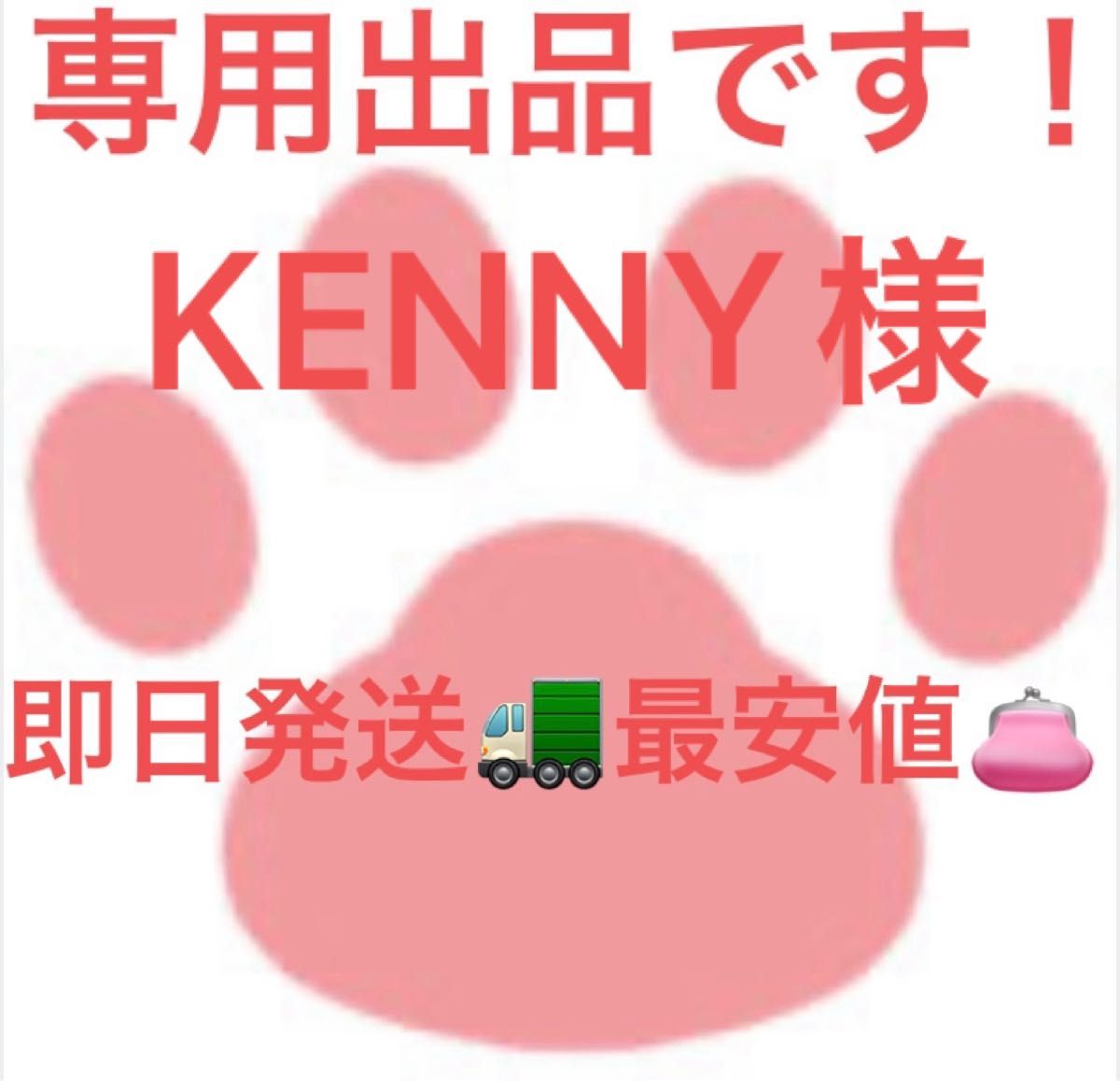 KENNY様専用です｜Yahoo!フリマ（旧PayPayフリマ）