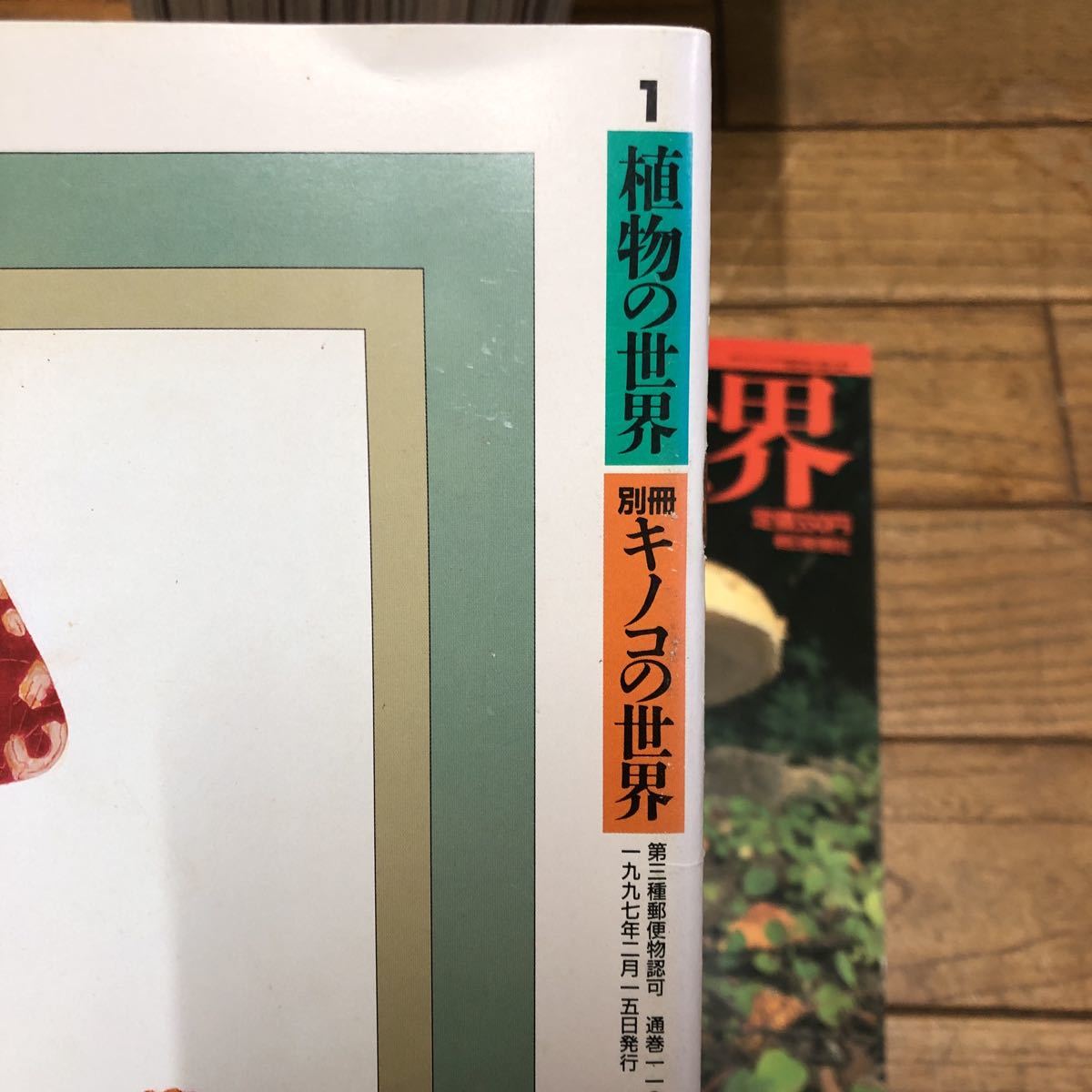 SK-ш/ 植物の世界 別冊キノコの世界 不揃い67冊まとめ 週刊朝日百科 朝日新聞社 植物の形態　コケ植物 菌界 冬虫夏草 他_画像3