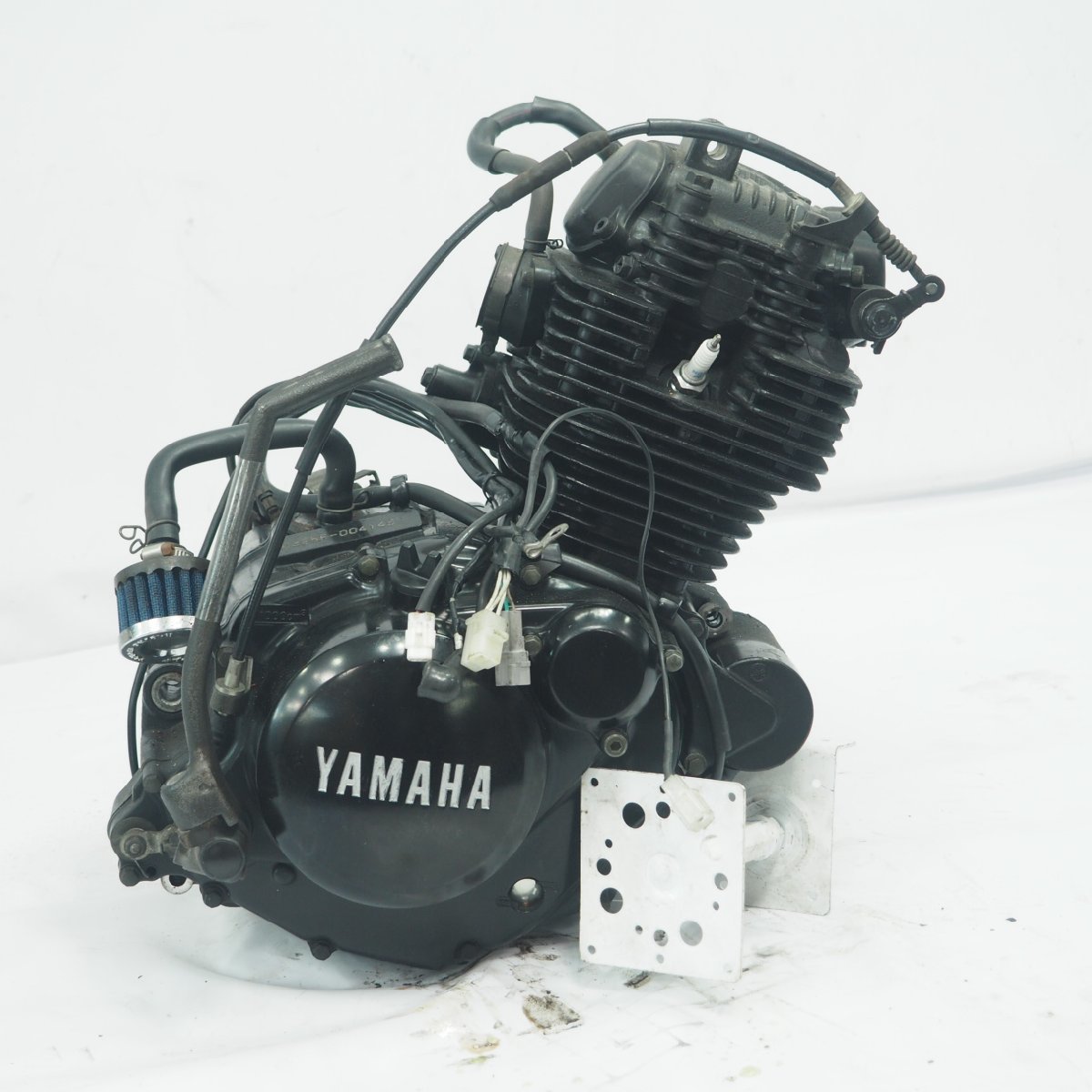 TW225 DG09J エンジンG328E TW200(エンジン本体)|売買された