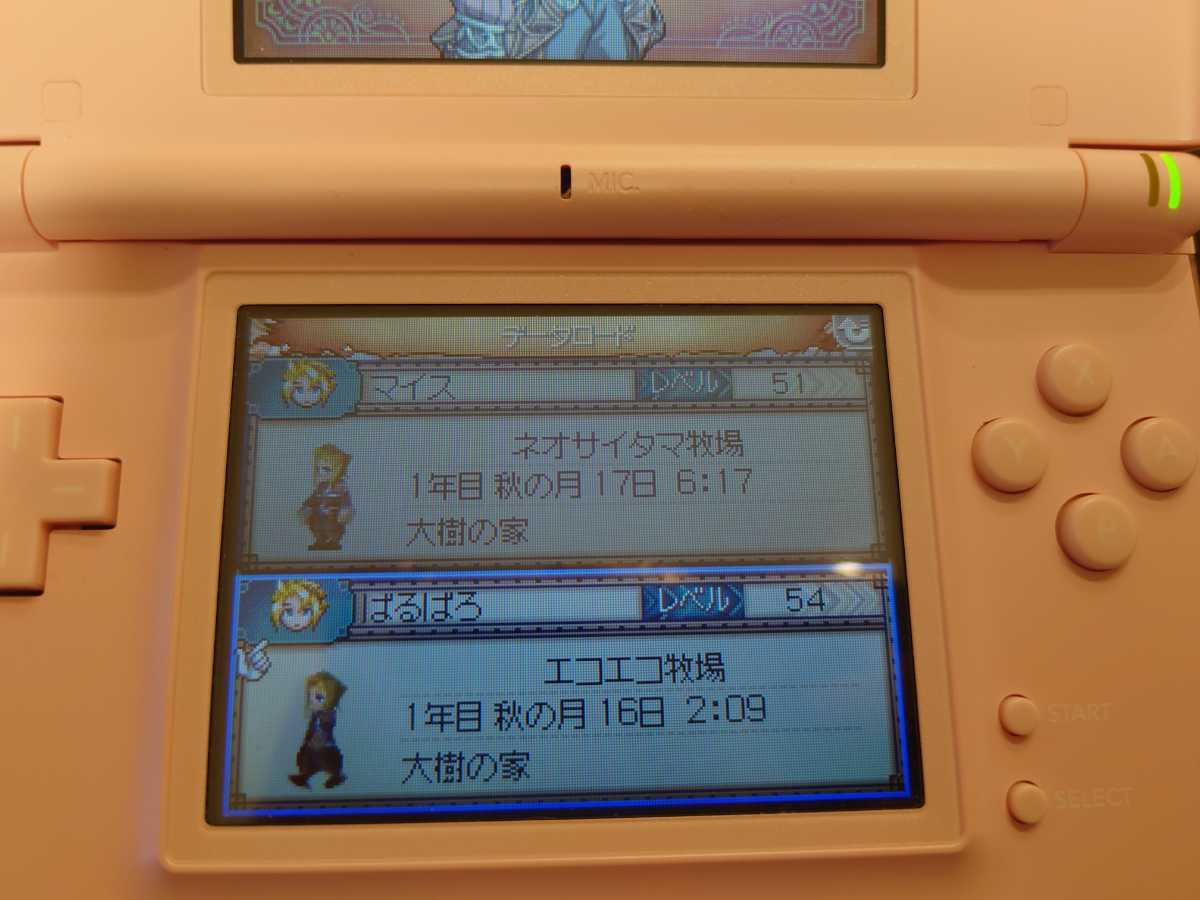 ルーンファクトリー３ ニンテンドーDS　DS ソフト_画像6