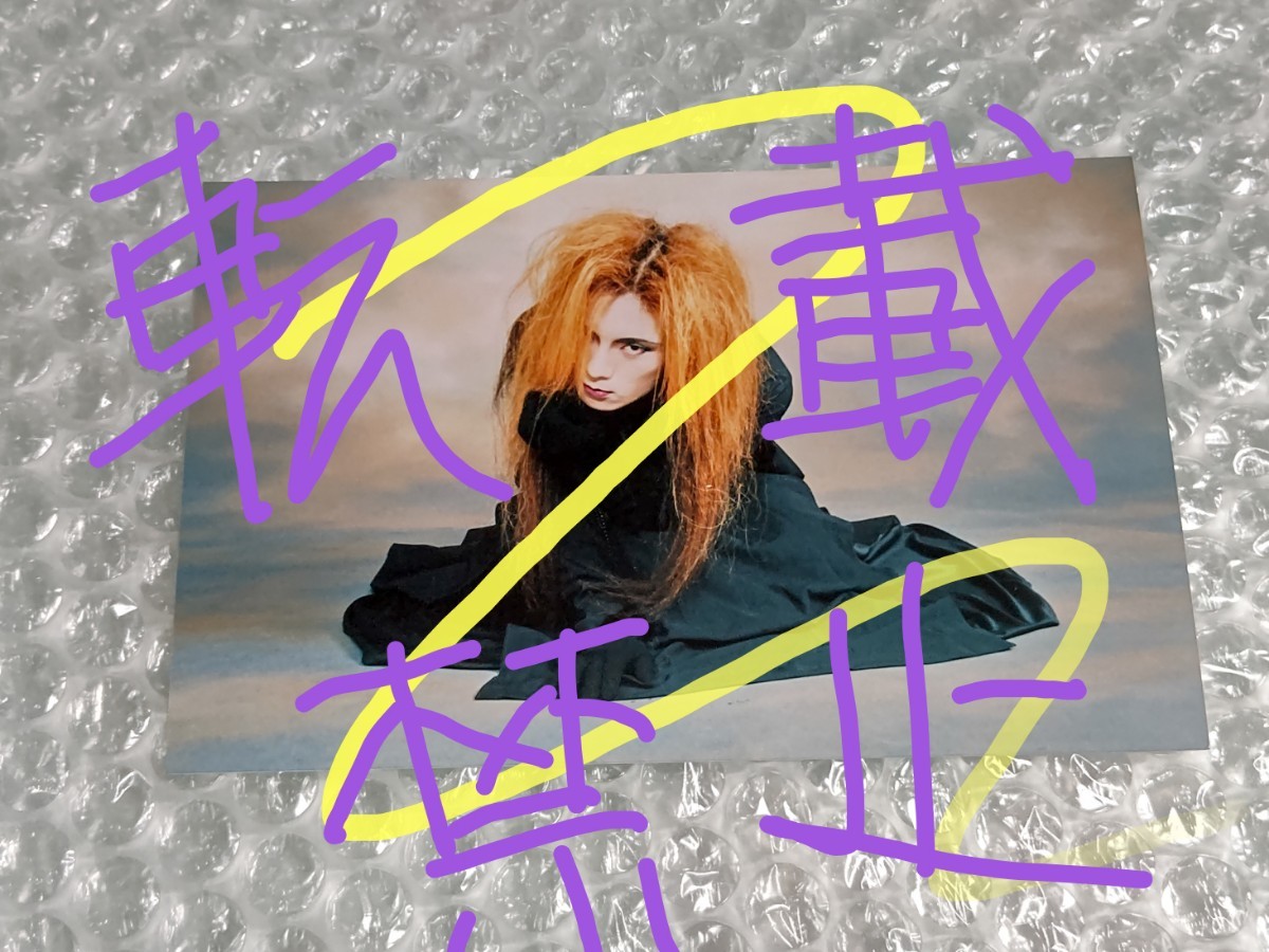 La:Sadie's 薫 写真 ブロマイド 5 /検 DIR EN GREY DIRT MADARANINGEN Tシャツ タオル ポスター ステッカー PHALARIS 疎外 グッズ 19990120