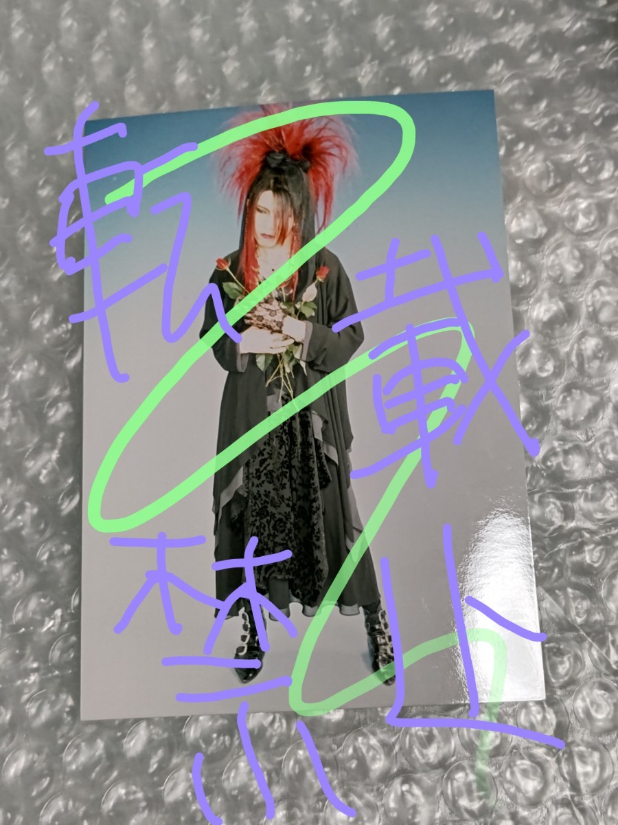 La:Sadie's KISAKI 写真 ブロマイド 3 /検 DIR EN GREY / MIRAGE Syndrome KISAKI PROJECT Phantasmagoria 凛 Tシャツ CD グッズ 物販
