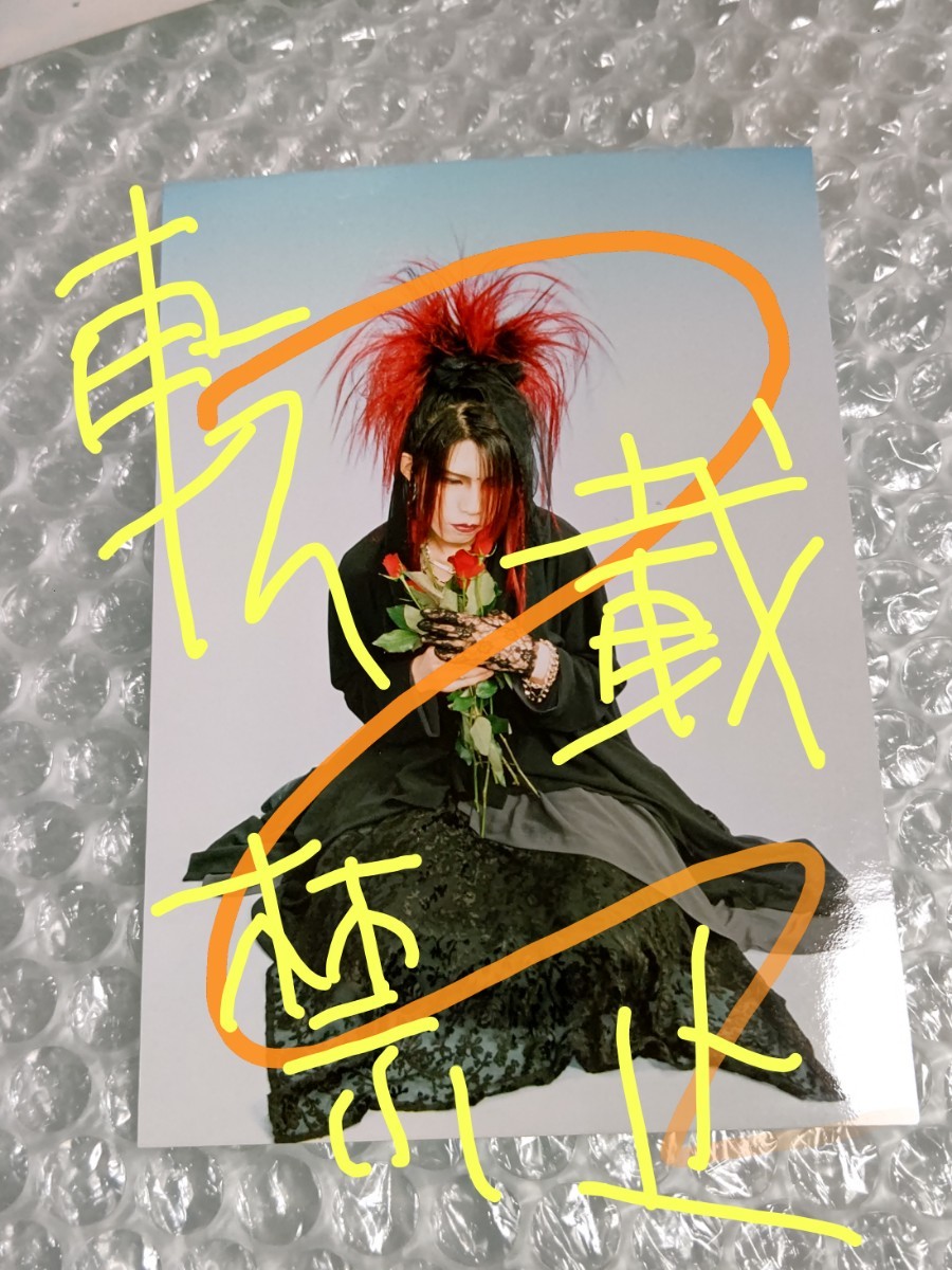 La:Sadie's KISAKI 生写真 ブロマイド 10 /検 DIR EN GREY La:Sadie's KISAKI 生写真 ブロマイド 10 /検 DIR EN GREY