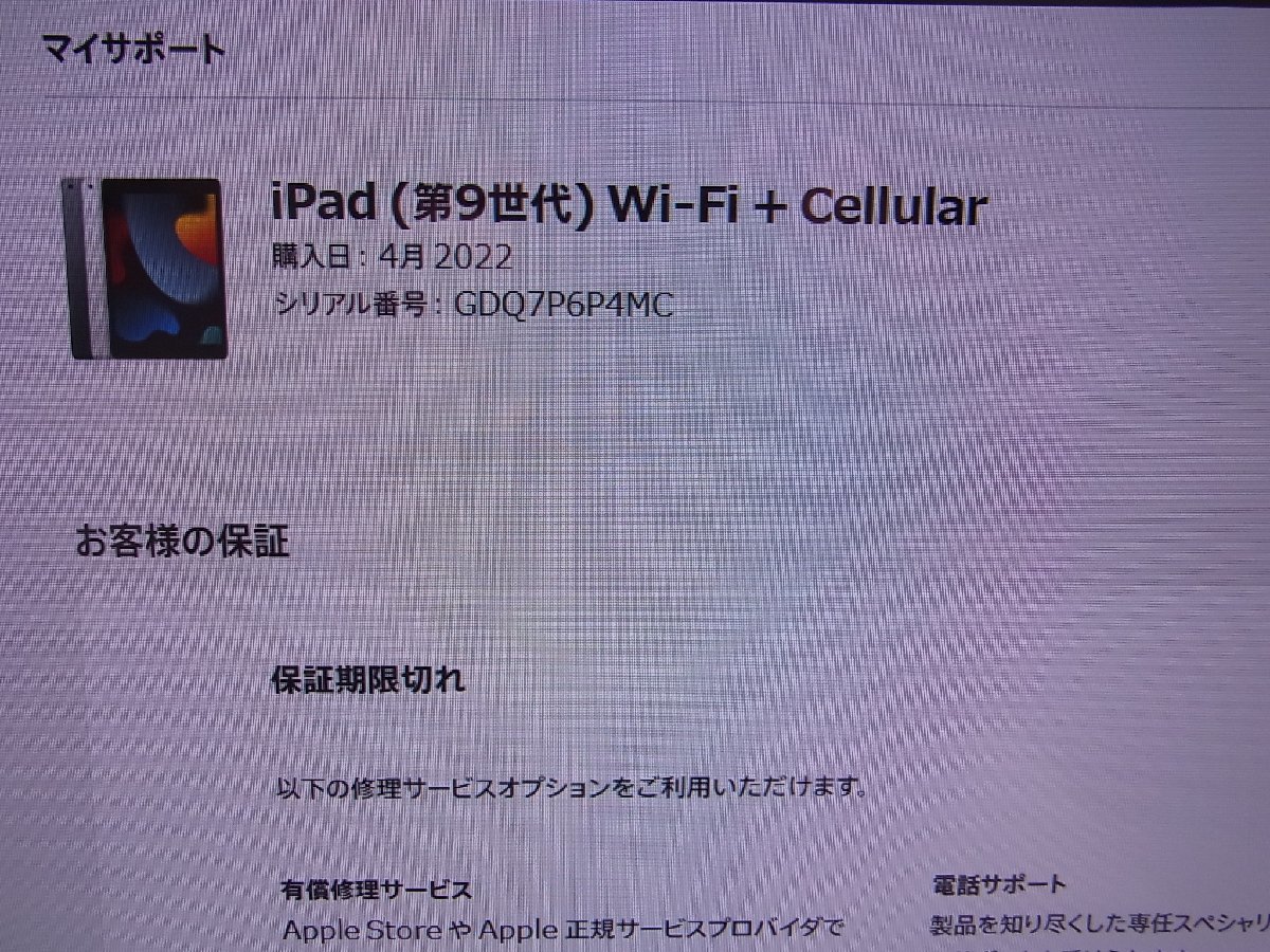 ★iPad 第9世代 Wi-Fi+Cellular MK4E3J/A 256GB 10.2インチ 2021年秋 ドコモ利用制限△ 現状渡しの画像7