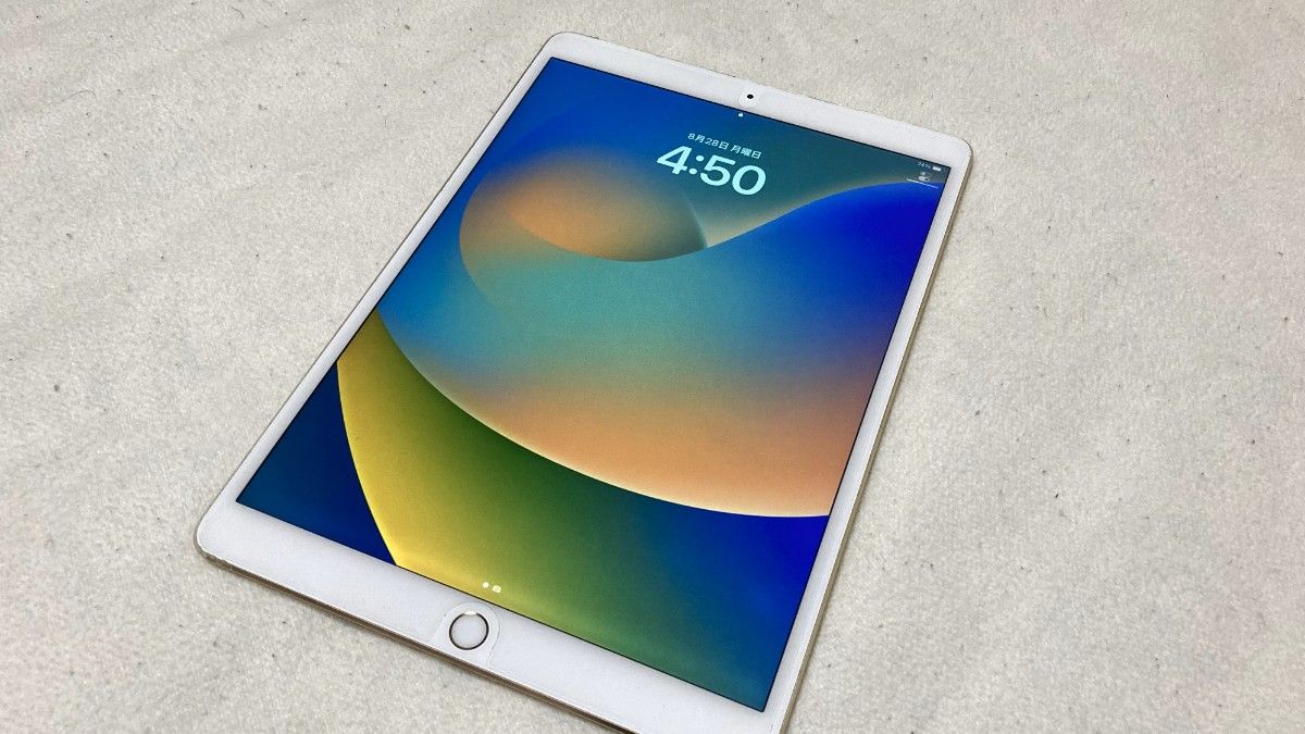 Apple iPad Pro 10.5inch Wi-Fiモデル 256GB 新品バッテリー