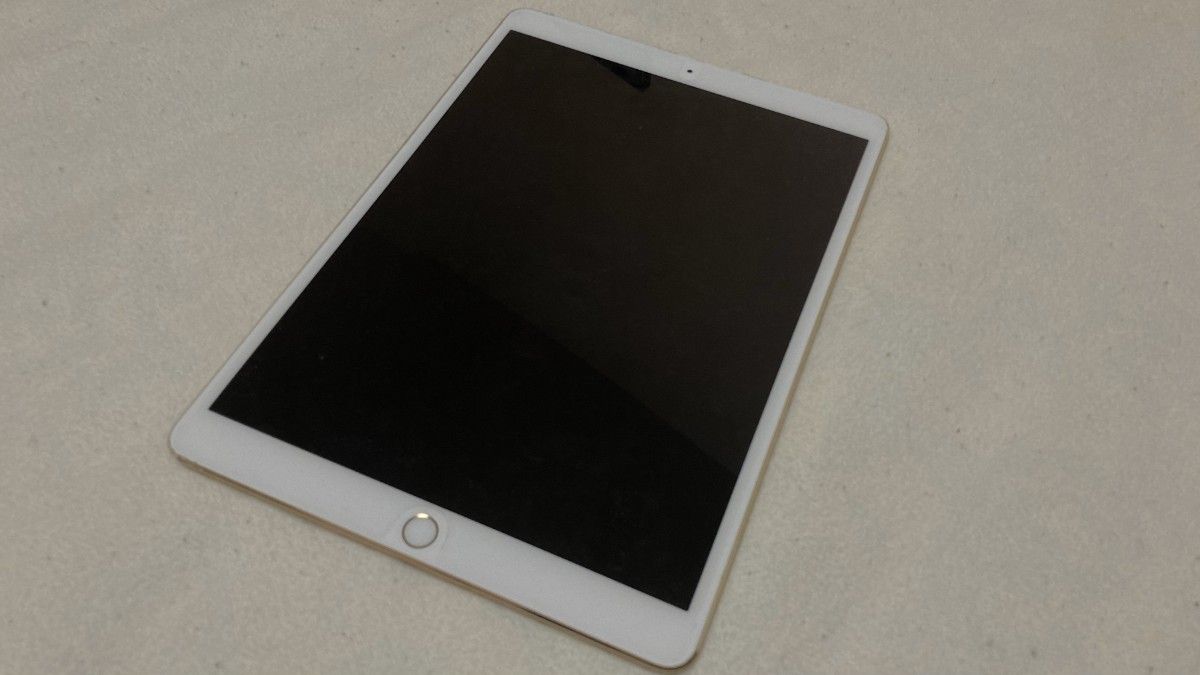 Apple iPad Pro 10.5inch Wi-Fiモデル 256GB 新品バッテリー