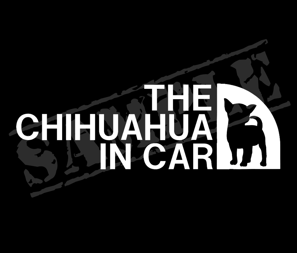 THE CHIHUAHUA IN CAR ( chihuahua )②paroti sticker 5.5.×17. pet love dog 