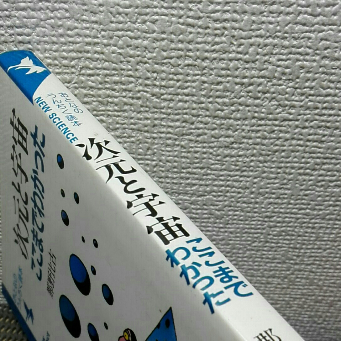 次元と宇宙ここまでわかった_画像5