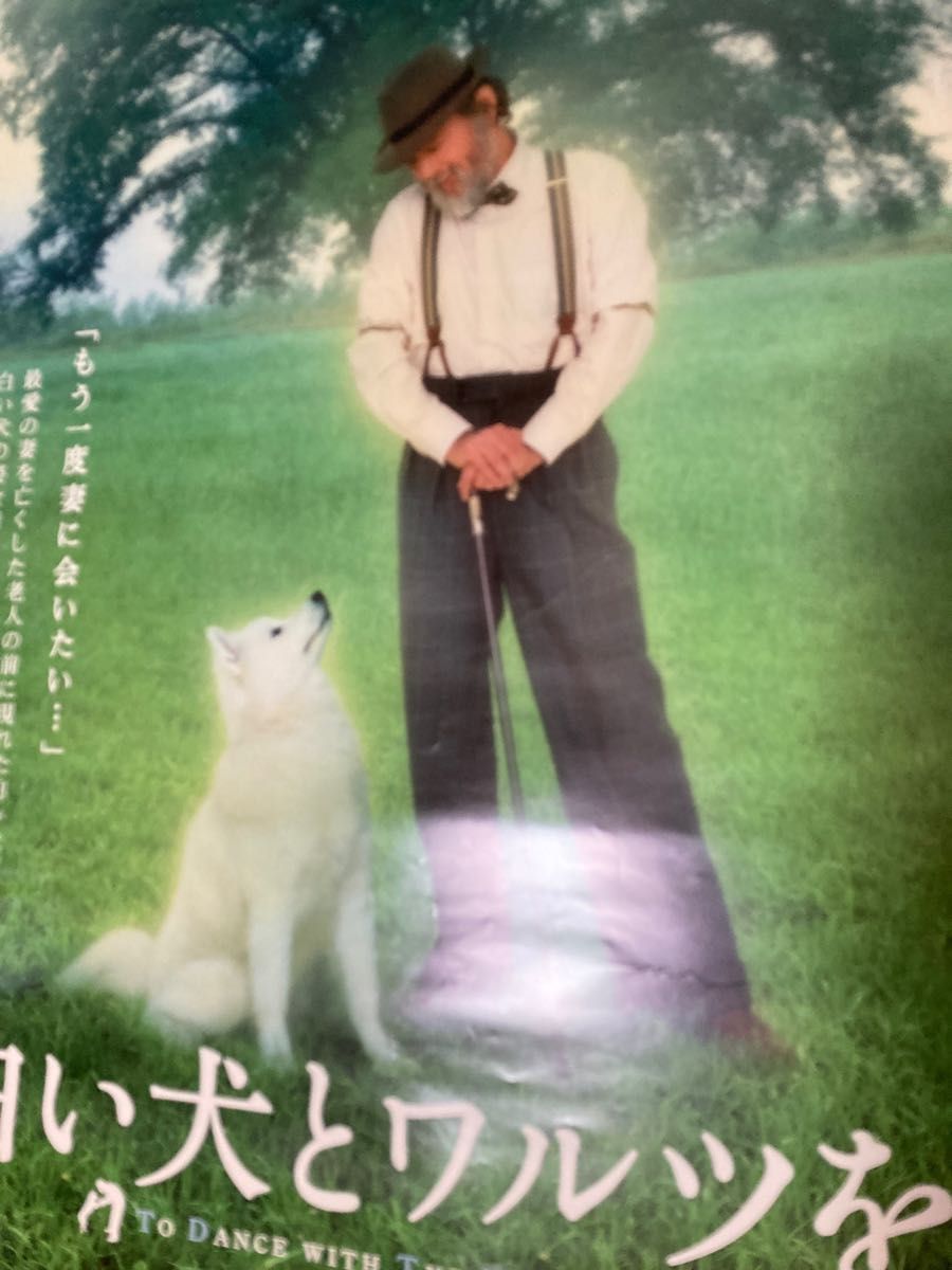 月野木隆 監督 白い犬とワルツを 大型映画ポスター