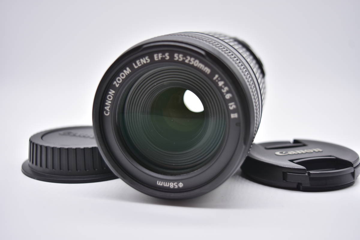 かわいい～！」 ☆外観極上品☆ キヤノン CANON EF-S 55-250mm F4.5