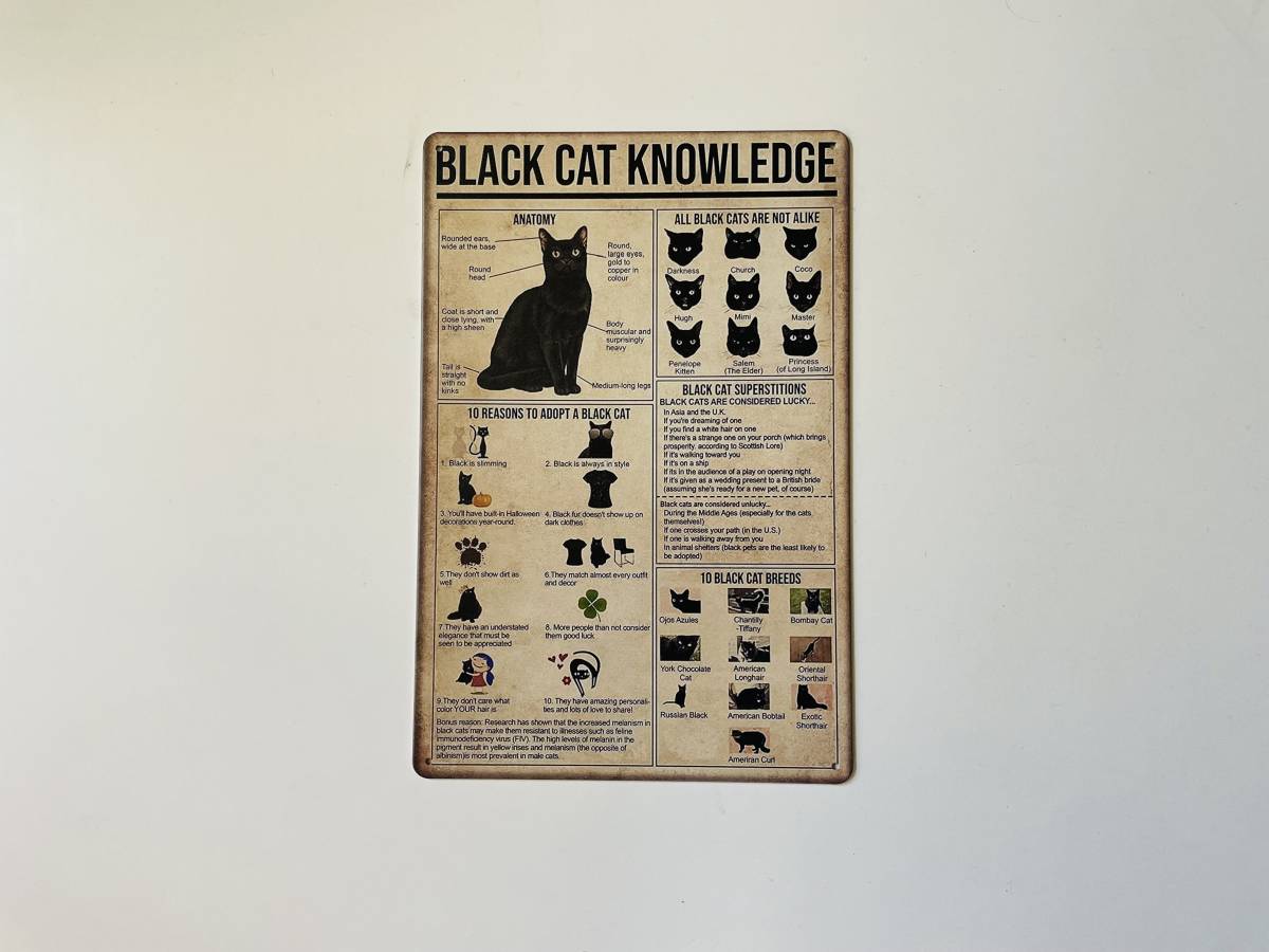 新作 ブリキ看板 20×30㎝ 黒猫 ねこ ネコ 猫 BLACK CAT Knowledge 図鑑 雑貨 アメリカンガレージ インテリア 新品 P0008_画像2