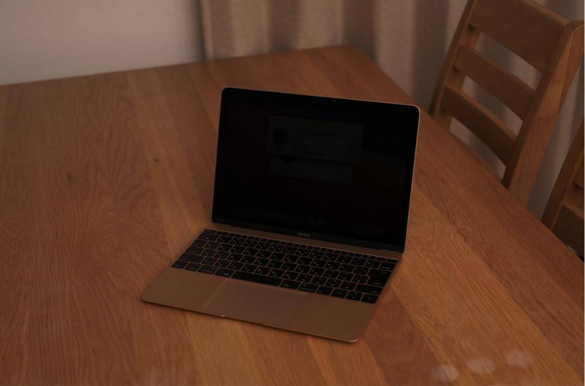 Apple MacBook １２インチ初期型 ゴールド 本体のみ ストレージ256GB