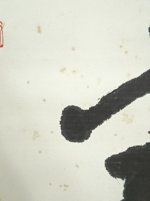 ys6572000; 宗sou 昭和34年石田泉城筆「椿寿」 肉筆紙本掛軸(共箱