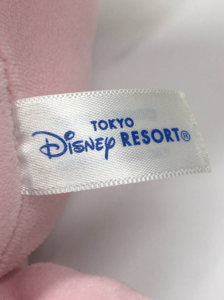 TOKYO Disney RESORT Toy Story Toy Story ham pig soft toy Tokyo Disney Land 23080801