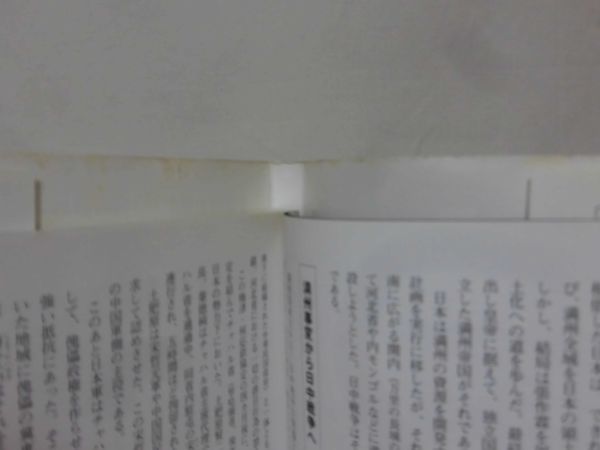 図説 日中戦争 (ふくろうの本) 森山康平 著 河出書房新社 2000年発行[1]C0555_画像3