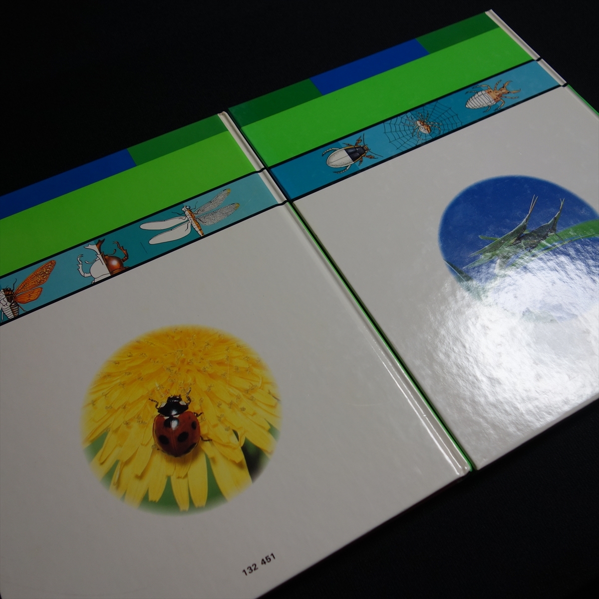 [ включая доставку ].. интеллектуальное развитие . рубанок . почему no. 1 шт такой же ... Gakken учеба изучение фирма / иллюстрированная книга для детей детский насекомое насекомое и т.п. 