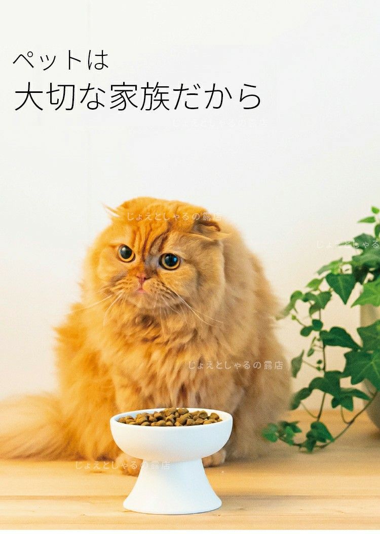 3点】陶器製フードボウル 猫犬 ペット用食器 おやつ 餌入れ 水やり 餌皿 ピンク ホワイト グレー｜PayPayフリマ