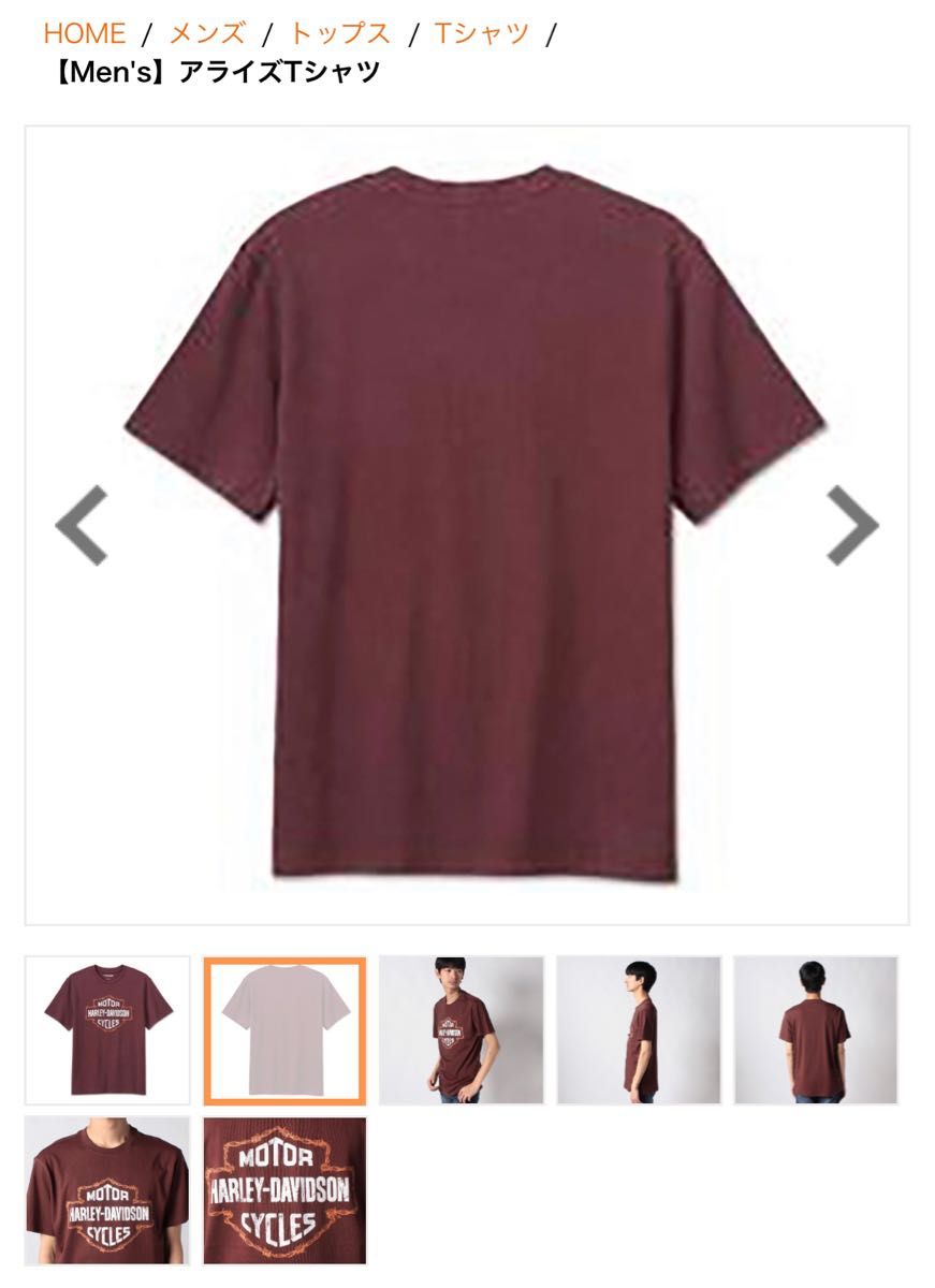 ハーレーダビットソン　【Men's】 アライズTシャツ　メンズ　Lサイズ　新品未使用　即日発送