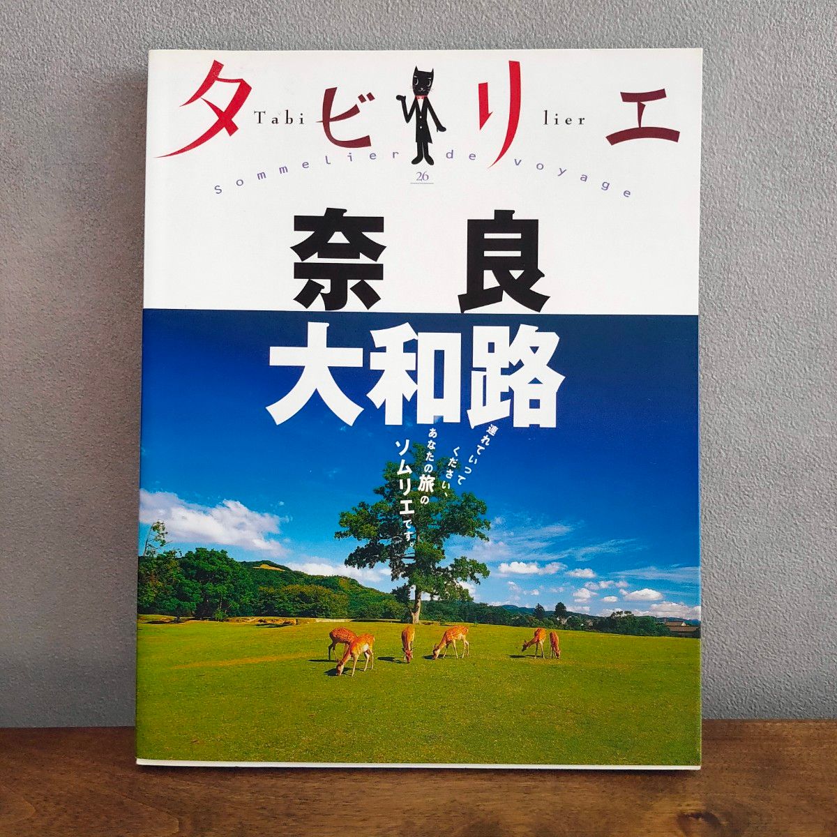  タビリエ_奈良大和路_ (タビリエ_ (26)) (ジェイティビィパブリッシング)