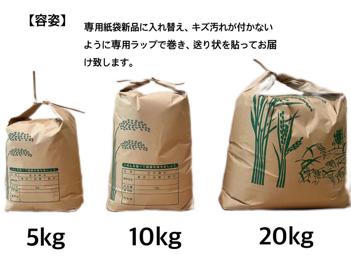 令和5年産  ハナエチゼン  新米　玄米 10 キロ 淡路島産　10kg