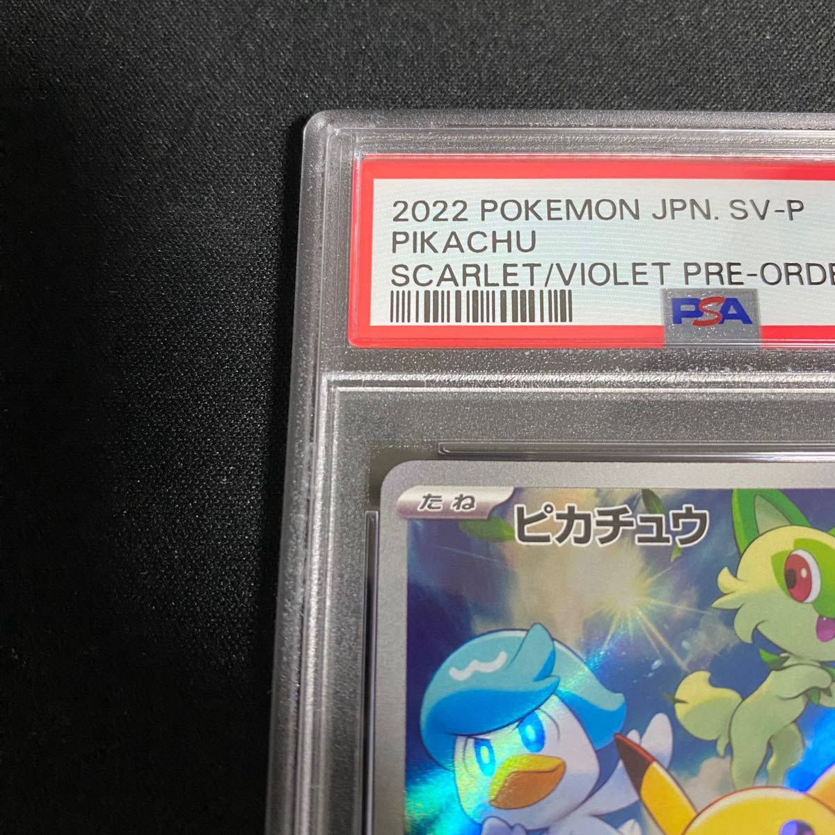 ポケカ ピカチュウスカーレットバイオレット プロモ　001/sv-p PSA10