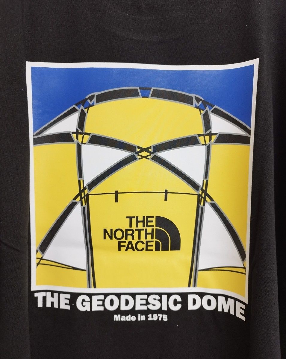 THE NORTH FACE ノースフェイス Tシャツ 半袖 綿 メンズ レディース 抗菌 バックプリント 黒色/XL K459C