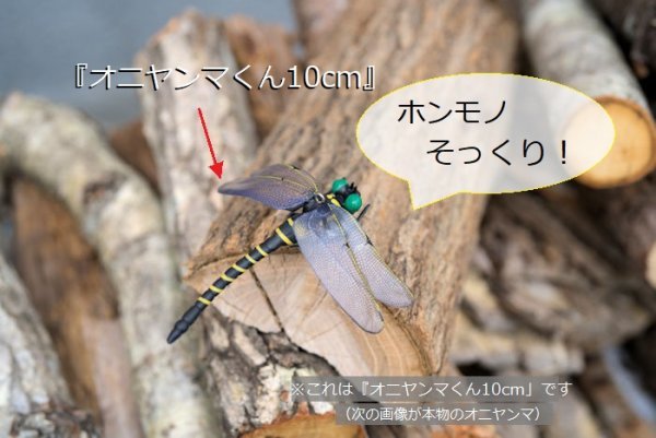 虫除け『オニヤンマくん10cm』3通りの付け方「クリップ・吊下げ・安全ピン」キャンプなどアウトドア活動に_画像2