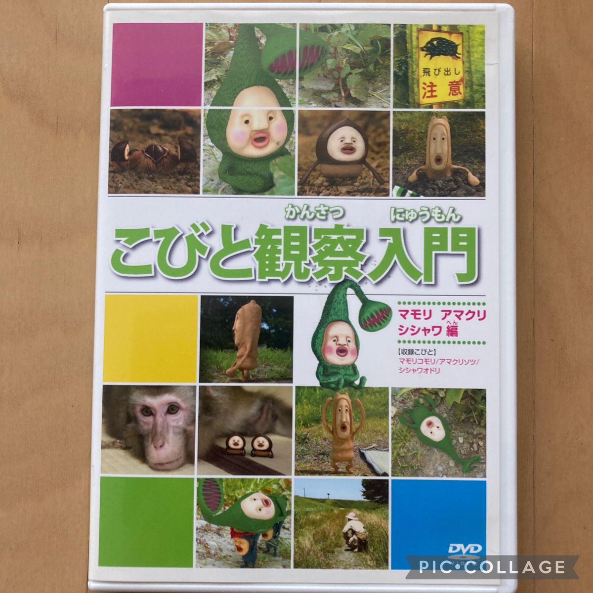 こびと観察入門 DVD 3枚セット こびとづかん|Yahoo!フリマ(旧 こびと観察入門 DVD 3枚セット こびとづかん|Yahoo!フリマ(旧