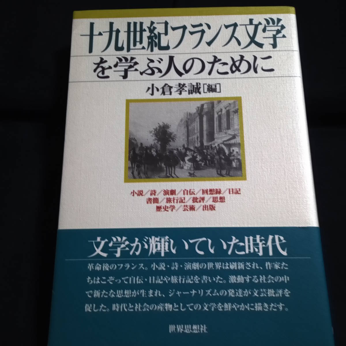 十九世紀フランス文学を学ぶ人のために　小倉孝誠[編]　_画像1