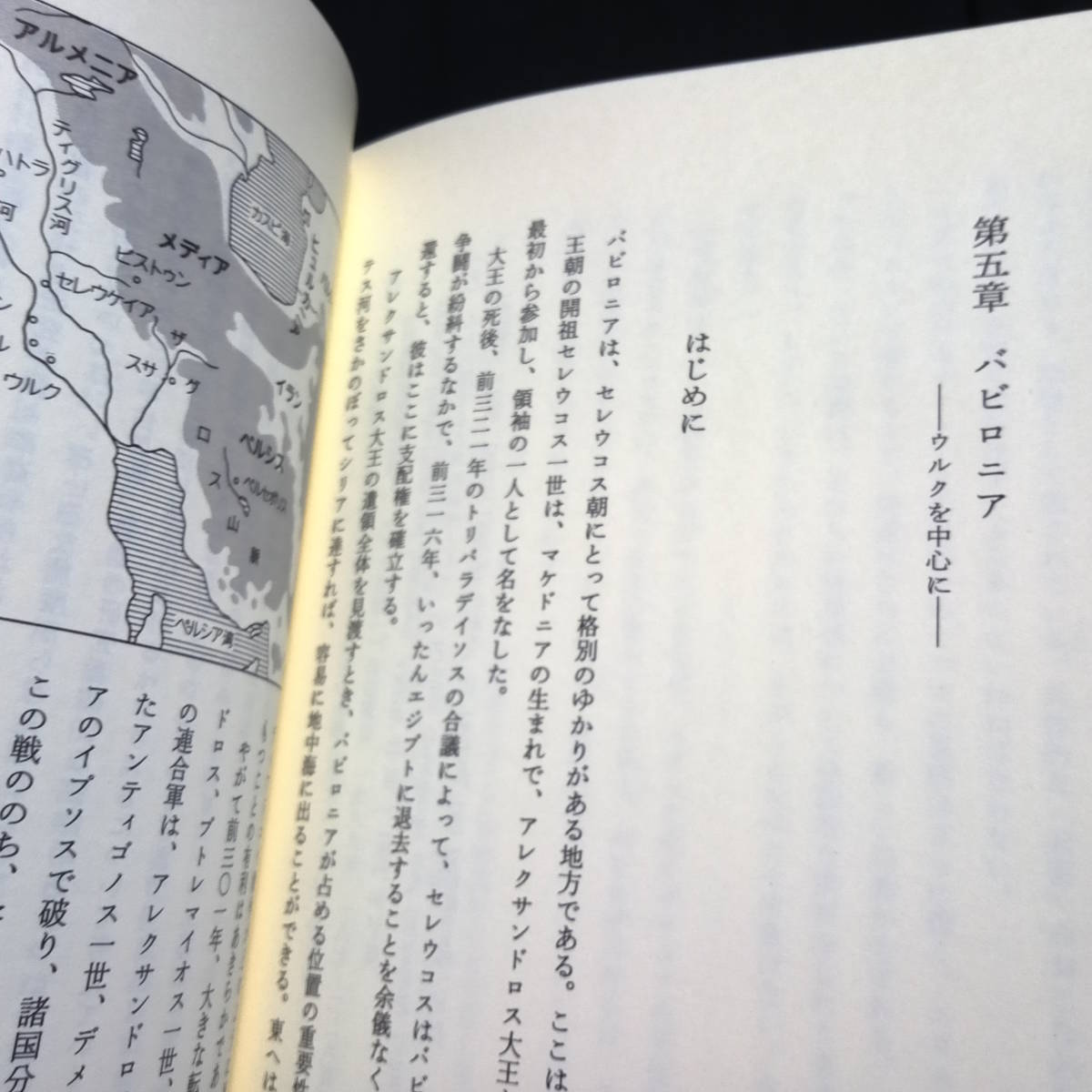 ★2013年版★ヘレニズムとオリエント　歴史のなかの文化変容　　　大戸千之・著　_画像9